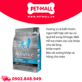 2.27KG - Thức ăn mèo Nutrience Infusion Adult Indoor Cá biển và Rau củ - Dành cho mèo trưởng thành Petmall