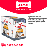 Pate Mèo Royal Canin Hair & Skin Jelly 85g - Hộp 12 Gói Petmall