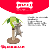 Đồ chơi TROPICAL Coconut Cat scratcher size - Trụ cào móng cho mèo hình cây dừa Petmall