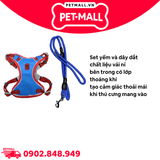 Set dây dắt + yếm SONICE Rope dog leash + harness size 20kg - Xanh Petmall