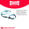 Set Dây + Vòng cổ Sonice Lucky Leash + Collar 10kg - 1.5cm Hình chó mèo xanh lục Petmall