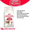 15KG - Thức ăn mèo Royal Canin FIT32 Petmall