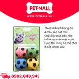 Đồ chơi SONICE Sponge Soccerball - Bộ 4 trái bóng đá đủ màu Petmall