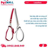 Set dây dắt + vòng cổ SONICE Mix Colour X-Small Size - Cho chó <3kg Petmall