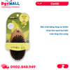 Lược DoggyMan Wood Natural Style Comb Size M - Bàn chải lông tơ tự nhiên, dành cho Chó Petmall
