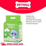 7L - Cát vệ sinh mèo Today's Litter Tofu Green tea Scented - Đậu nành soya Petmall