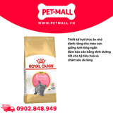 400G - Thức ăn mèo Royal Canin British Shorthair Kitten - Mèo Anh lông ngắn Petmall