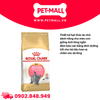 400G - Thức ăn mèo Royal Canin British Shorthair Kitten - Mèo Anh lông ngắn Petmall