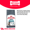400G - Thức ăn mèo Royal Canin HAIRBALL Care - Trị búi lông Petmall