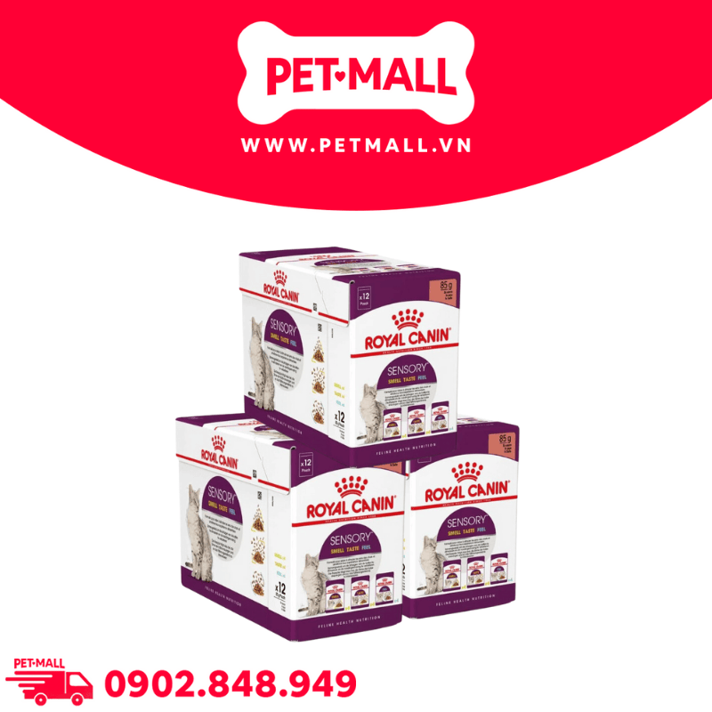 Combo Pate mèo Royal Canin Sensory Smelly, Taste, Feel in Gravy 85g - 36 gói Petmall