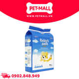 Tấm lót vệ sinh Today’s pads 40x50cm - 100 tấm Petmall