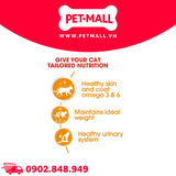 Pate Mèo Royal Canin Hair & Skin Jelly 85g - Hộp 12 Gói Petmall