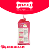 Tấm lót vệ sinh Today’s pads 40x50cm - 50 tấm Petmall