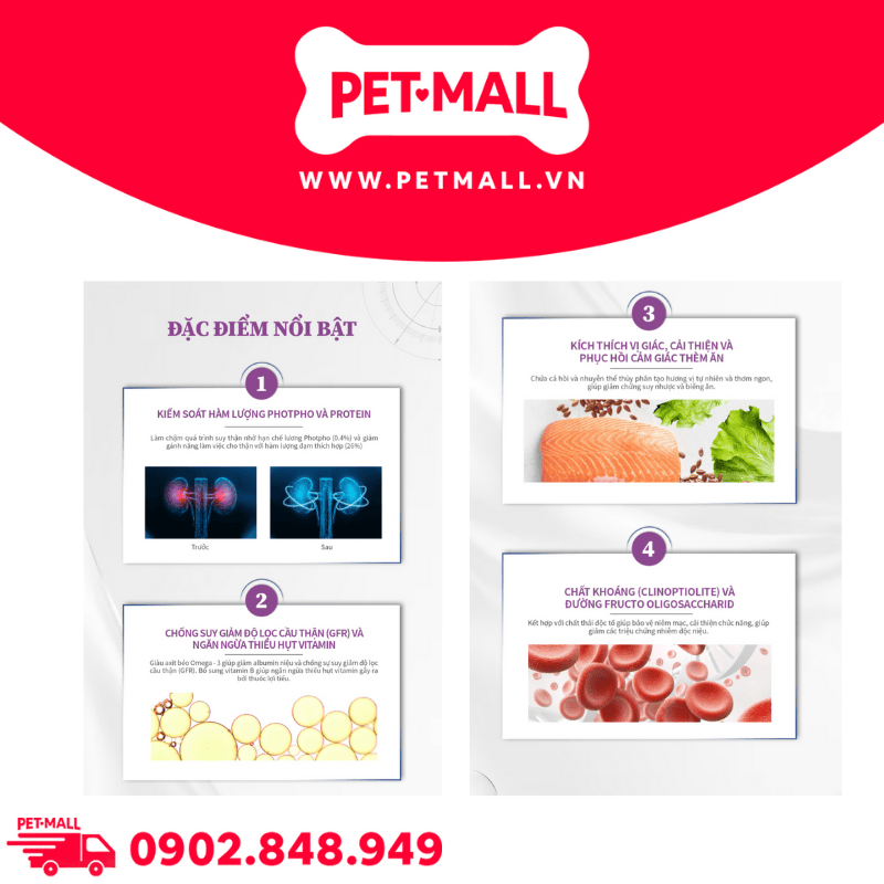 1.4KG - Thức ăn mèo VOM Renal + Recovery RR - Chăm sóc sức khỏe cho thận và phục hồi cơ thể Petmall
