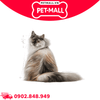 2KG - Thức ăn mèo Royal Canin HAIR & SKIN Care - Dưỡng da và lông Petmall