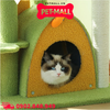 Trụ cào SONICE Yellow and Green Cat Tree Scratcher Toys Size 56 x 48 x 126 cm - 6 tầng màu xanh vàng Petmall