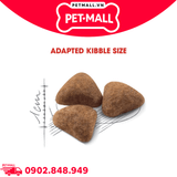 2KG - Thức ăn mèo Royal Canin INDOOR Petmall