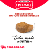 2KG - Thức ăn mèo Royal Canin British Shorthair Adult Petmall