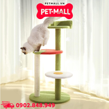 Trụ cào SONICE Egg and Tomato Cat Tree Scratcher Toys Size 48 x 48 x 115 cm - 4 tầng hình trứng và cà chua Petmall