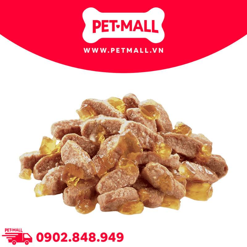 Pate Mèo Royal Canin Hair & Skin Jelly 85g - Hộp 12 Gói Petmall
