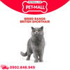 2KG - Thức ăn mèo Royal Canin British Shorthair Adult Petmall