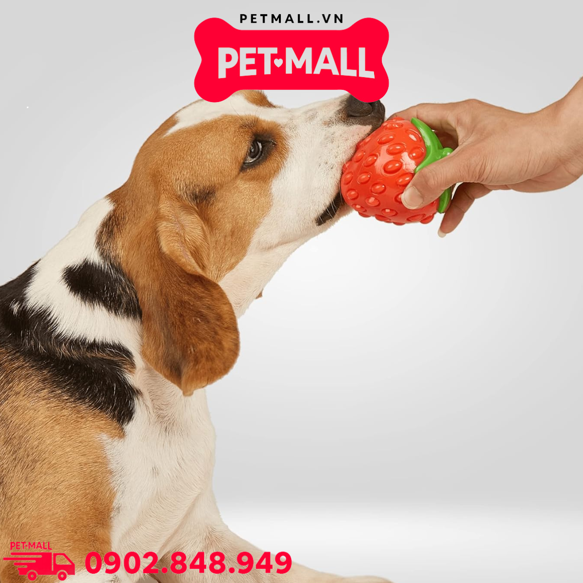 Đồ chơi TOUGH FRUIT fruity-bites Squeaky Silence Strawberry - Trái dâu, hỗ trợ nhai gặm giảm stress Petmall