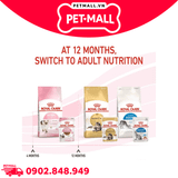400G - Thức ăn mèo Royal Canin KITTEN Petmall