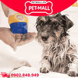 Sữa tắm ARM & HAMMER Super Deodorizing Shampoo Kiwi Blossom for Dog 591ml - Hương kiwi và hoa nhẹ nhàng Petmall