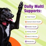Viên nhai Pet Naturals Daily Multi for Dogs 525g - 150 chews - Bổ sung khoáng chất, vitamin tổng hợp cho Chó Petmall