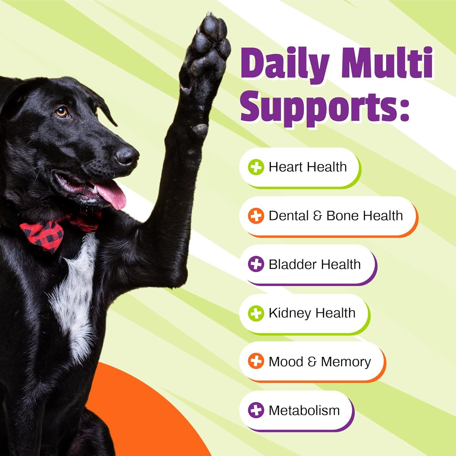 Viên nhai Pet Naturals Daily Multi for Dogs 525g - 150 chews - Bổ sung khoáng chất, vitamin tổng hợp cho Chó Petmall