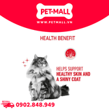 Hộp 12 Gói 85G - Pate Mèo Royal Canin Hair & Skin Gravy 85g Petmall