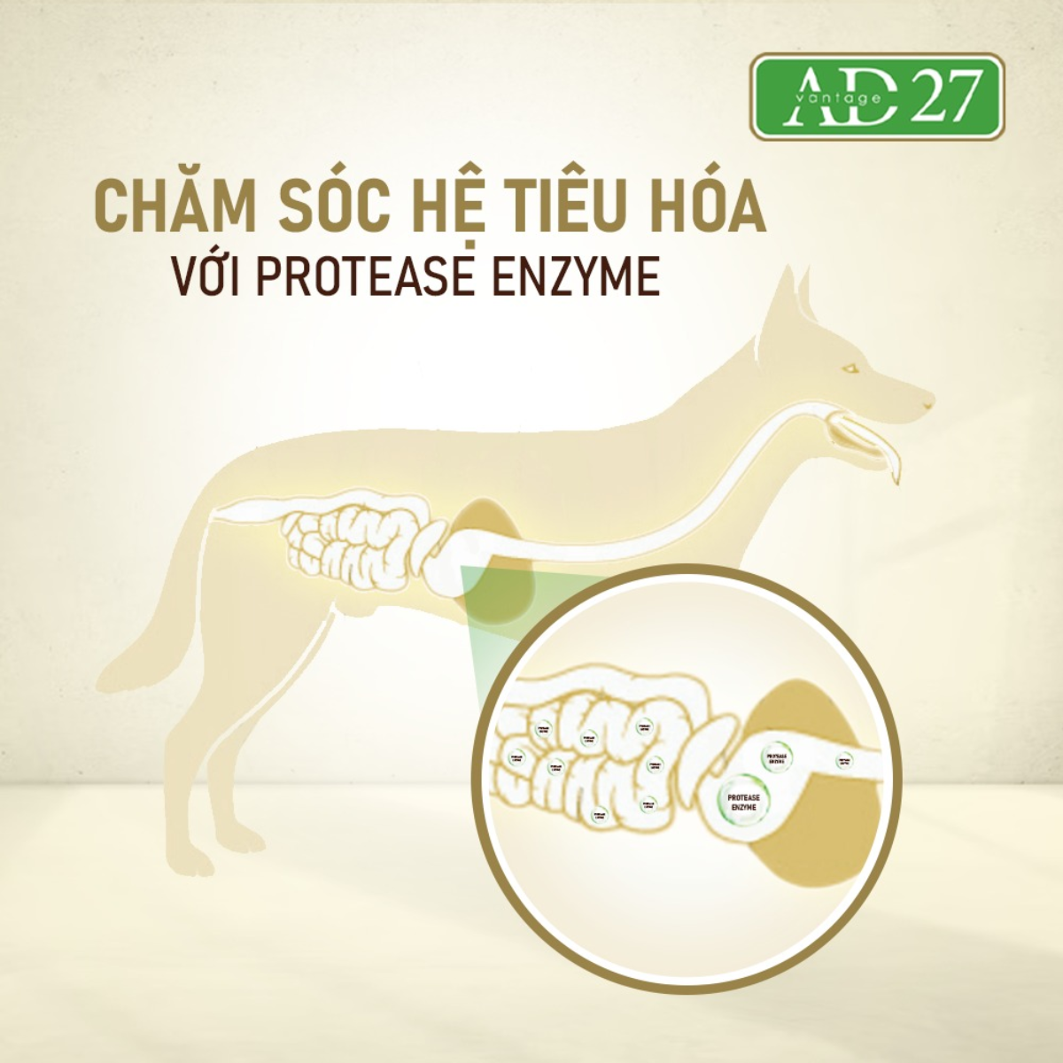 Thức ăn chó ANF Advantage 27 1.6kg - Hỗ trợ phát triển thể chất Petmall
