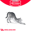 10KG - Thức ăn mèo Royal Canin INDOOR 10kg Petmall