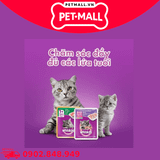 Combo 24 Gói 80G - Pate mèo WHISKAS - Mix vị Petmall