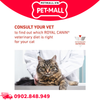 2.5KG - Thức ăn mèo Royal Canin Hypoallergenic Feline - Điều trị dị ứng Petmall