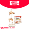 Đồ Chơi FOFOS Natural Wobbler Cat Toys Size 14x25cm - Bàn Cào Móng Lông Vũ Tự Nhiên Petmall