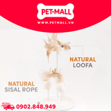 Đồ Chơi FOFOS Natural Wobbler Cat Toys Size 14x25cm - Bàn Cào Móng Lông Vũ Tự Nhiên Petmall