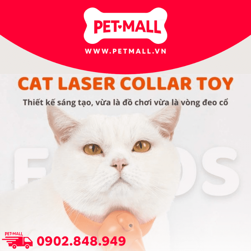 Đồ chơi FOFOS Cat laser collar - Vòng cổ đèn laser cho mèo Petmall