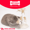 Đồ Chơi FOFOS Natural Wobbler Cat Toys Size 14x25cm - Bàn Cào Móng Lông Vũ Tự Nhiên Petmall