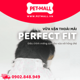 Tã cho chó cái Disposable female dog diaper - 16 miếng | Size M 2-4 kg Petmall