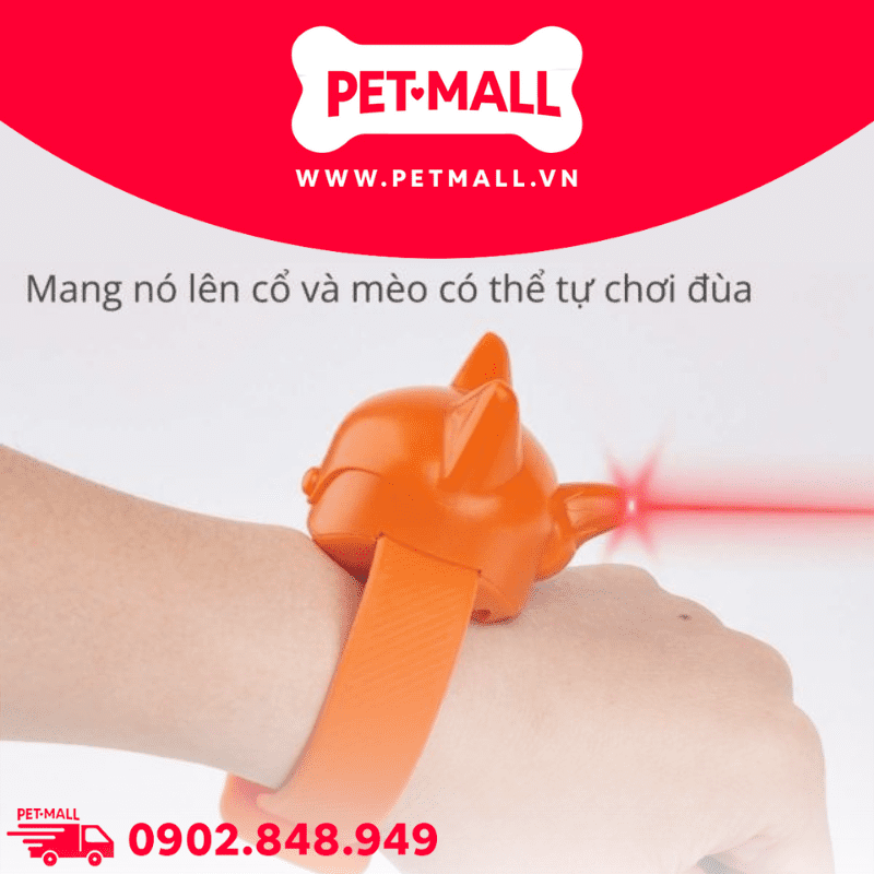 Đồ chơi FOFOS Cat laser collar - Vòng cổ đèn laser cho mèo Petmall