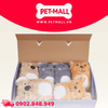 Đồ chơi FOFOS Toy Box - Gấu bông, phát ra âm thanh Petmall