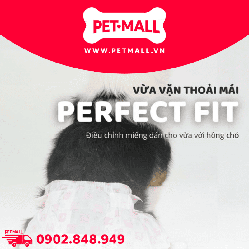 Tã cho chó đực Disposable male dog diaper - 8 miếng | Size L 6-16 kg Petmall