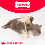 Đồ Chơi FOFOS Natural Wobbler Cat Toys Size 14x25cm - Bàn Cào Móng Lông Vũ Tự Nhiên Petmall