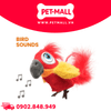 Đồ chơi FOFOS sound chip parrot with catnip balls - Vẹt bông phát ra âm thanh, đi kèm viên catnip Petmall