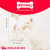 Đồ Chơi FOFOS Natural Wobbler Cat Toys Size 14x25cm - Bàn Cào Móng Lông Vũ Tự Nhiên Petmall