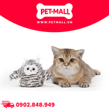Đồ chơi FOFOS Swinging Owl Cat Toys Size 11x8cm - Thú bông hình chim cú kèm cáp sạc Petmall