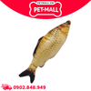 Đồ chơi thú bông hình cá in 3D Plush Pacific Petmall