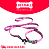 Set Dây + Vòng cổ Sonice Lucky Leash + Collar 10kg - 1.5cm Gấu dâu Petmall