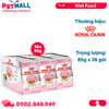Combo 36 Gói 85G - Pate mèo Royal Canin Kitten Jelly Petmall